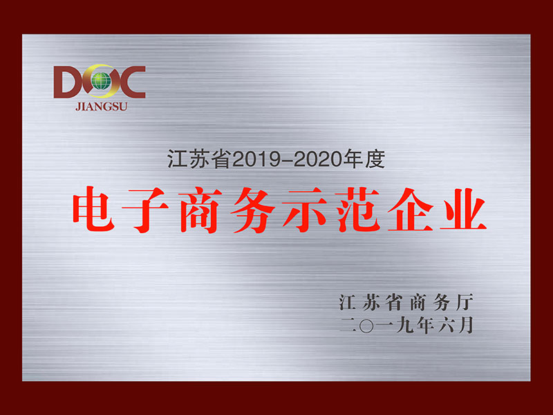 2019-2020电子商务示范企业